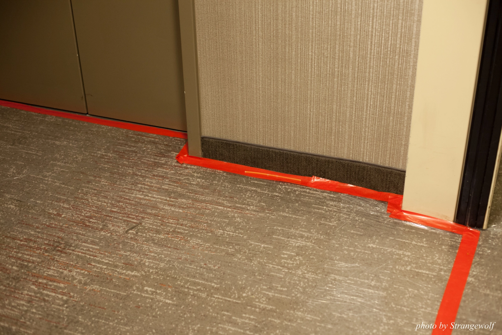 full image IMG_1099-lr16t.jpg