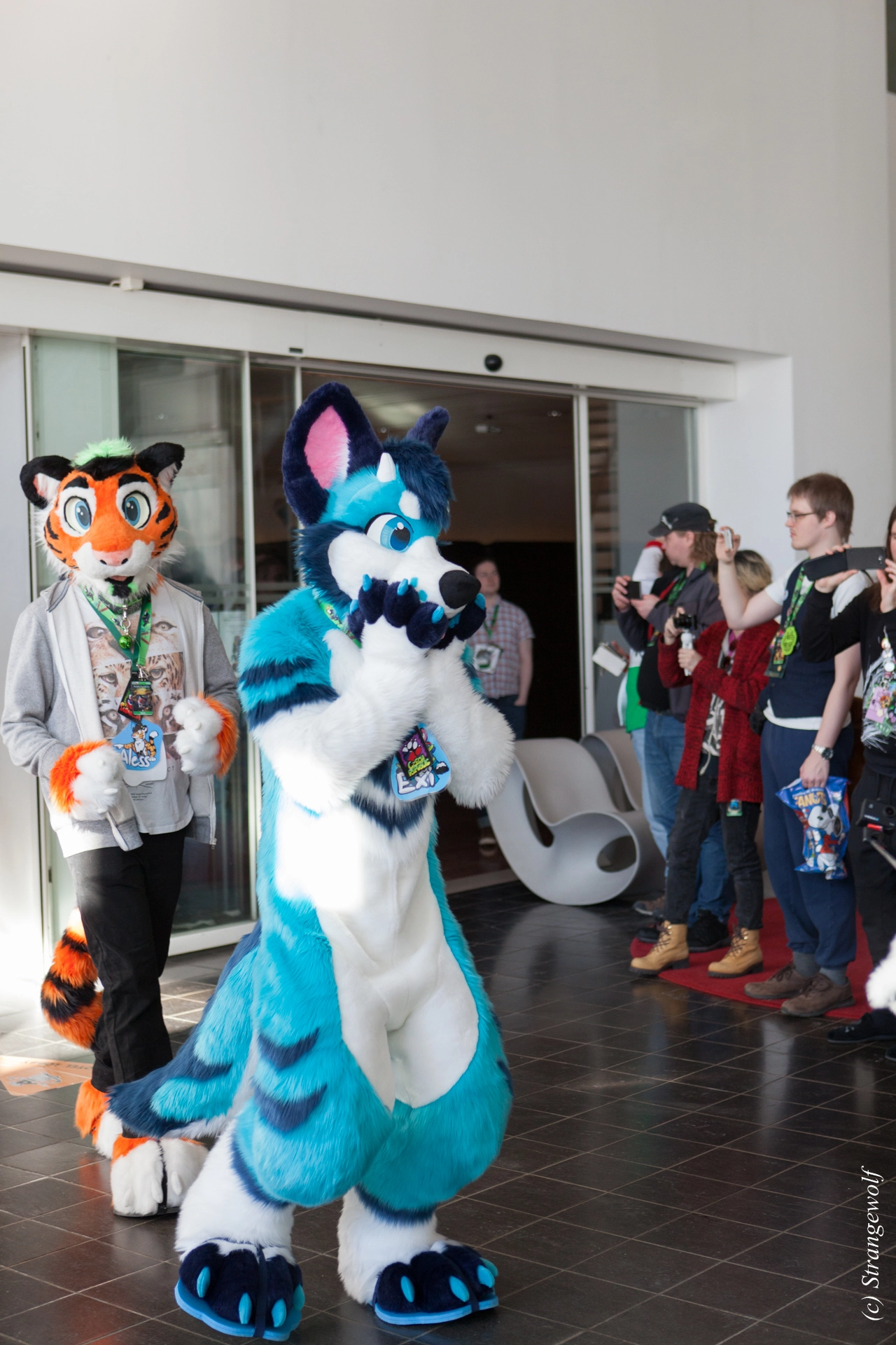 full image IMG_9494-lr19t.jpg