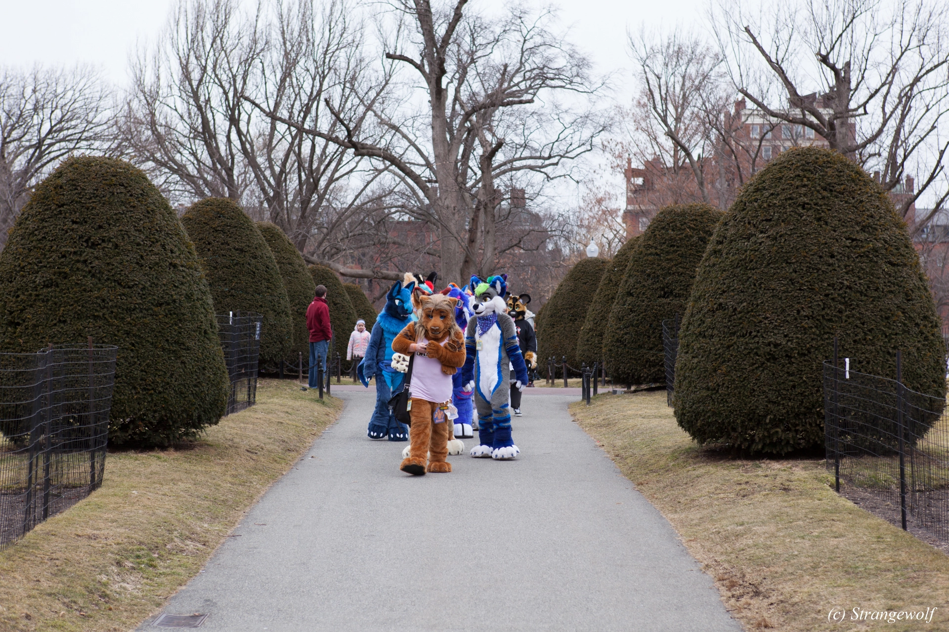 full image IMG_3215-lr19t.jpg
