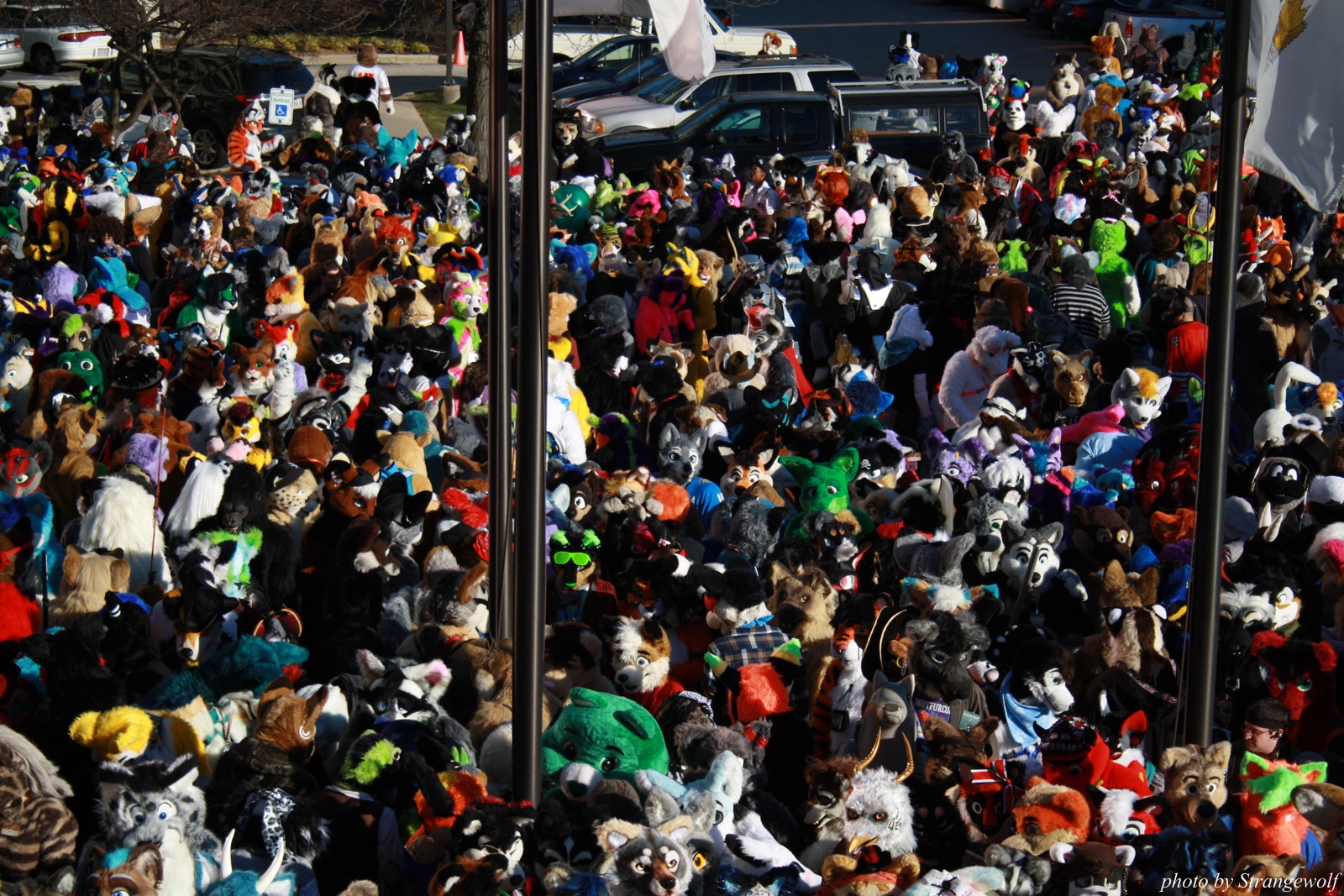 full image IMG_0643-lr.jpg