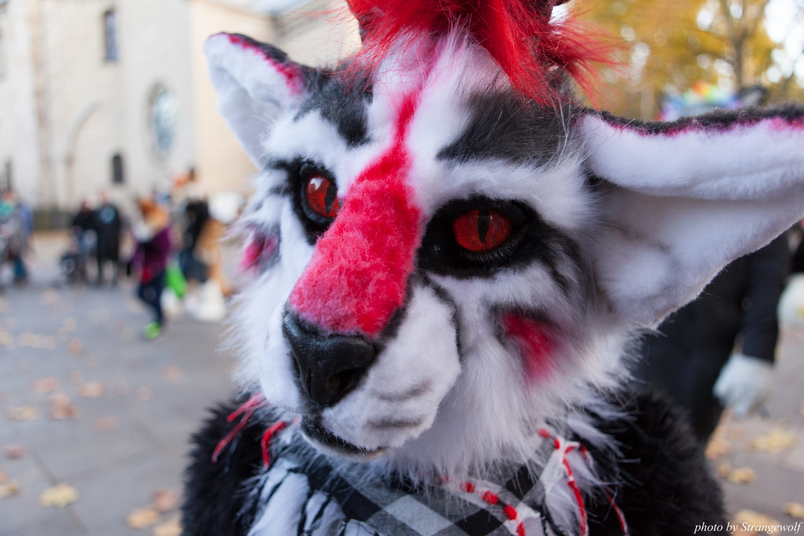 full image IMG_5322-lr16t.jpg