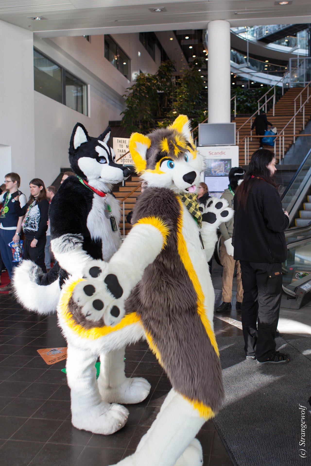 full image IMG_9485-lr19t.jpg