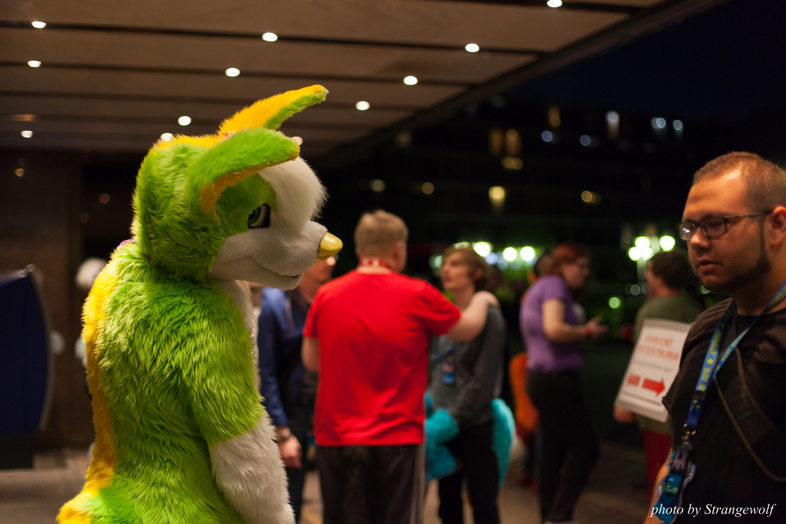 full image IMG_7643-lr16t.jpg