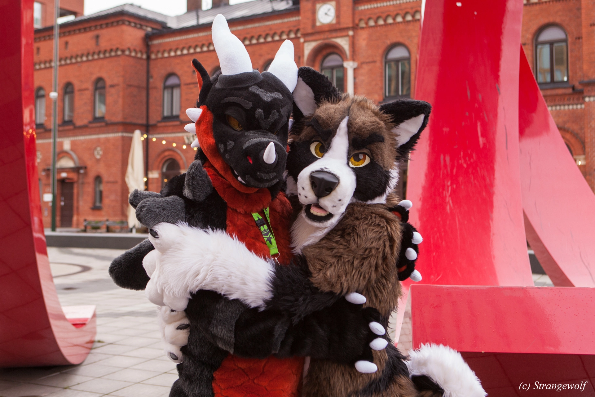 full image IMG_8992-lr19t.jpg