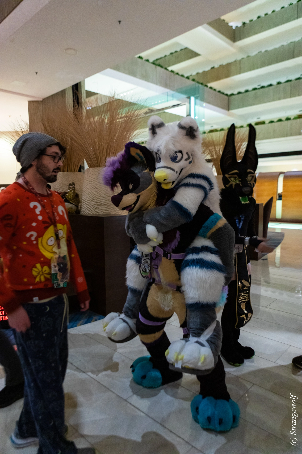 full image 1R3A6490-lr19t.jpg