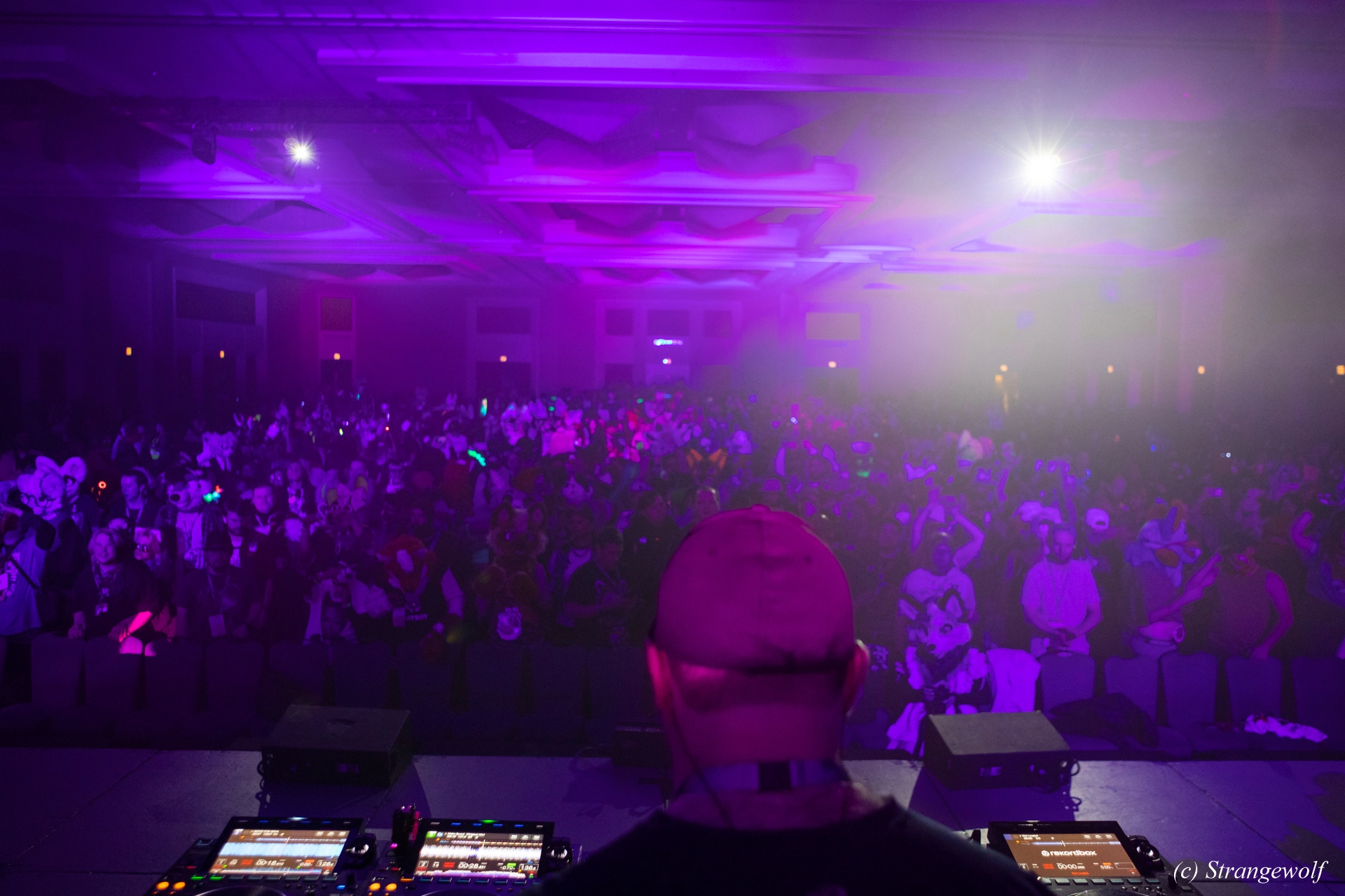 full image 1R3A0828-lr19t.jpg