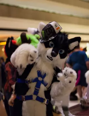 IMG_6058-lr16t.jpg of MFF/MFF2014/