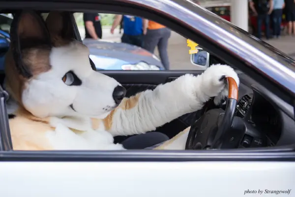 IMG_6845-lr19t.jpg of EF/EF23/MotorFurs/