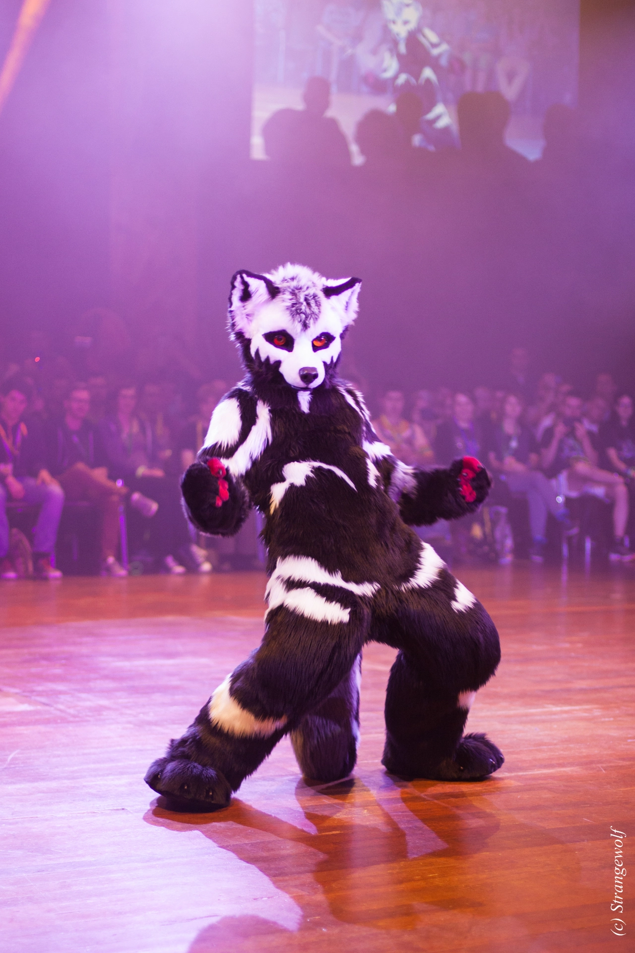 full image IMG_6523-lr19t.jpg