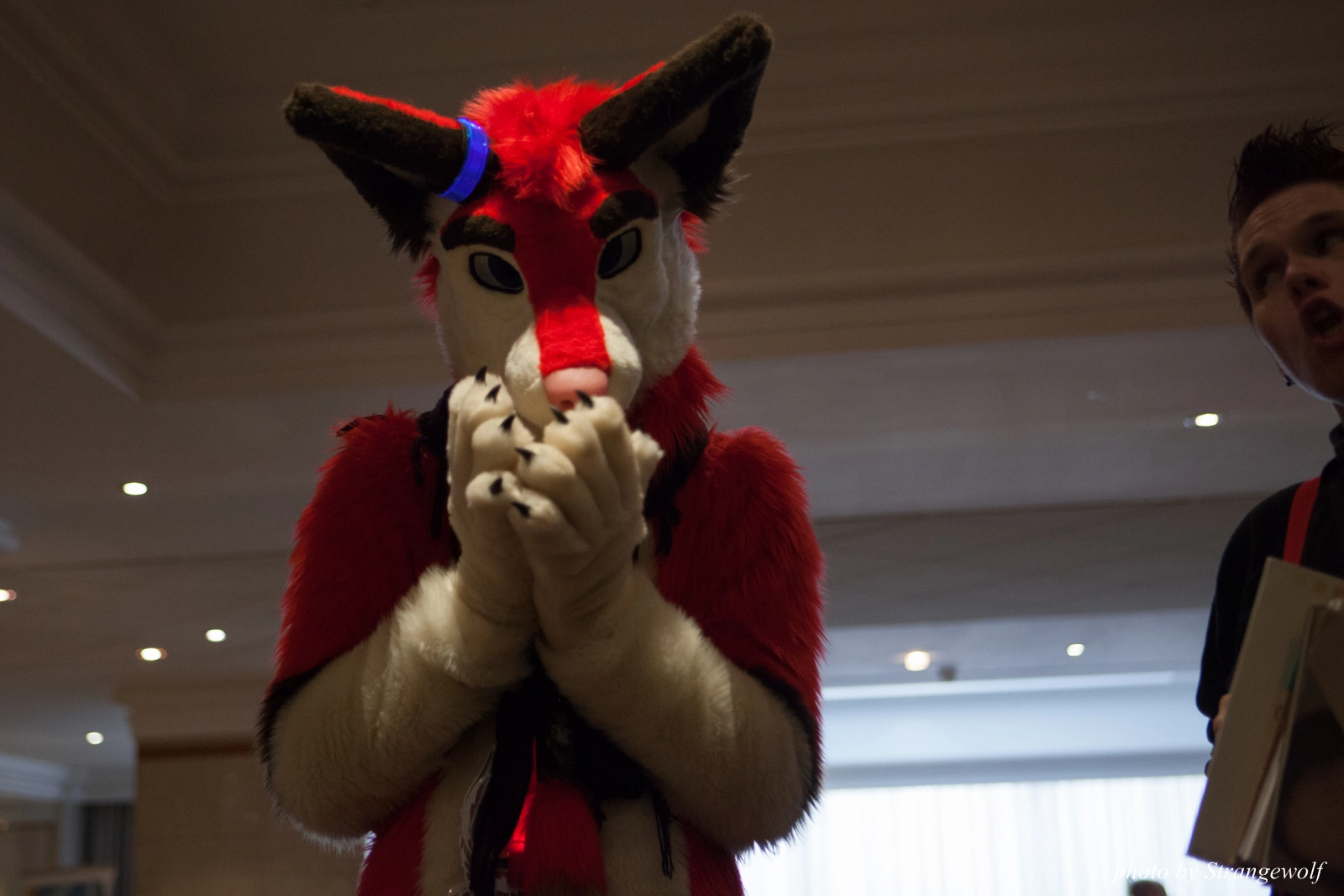 full image IMG_7416-lr16t.jpg