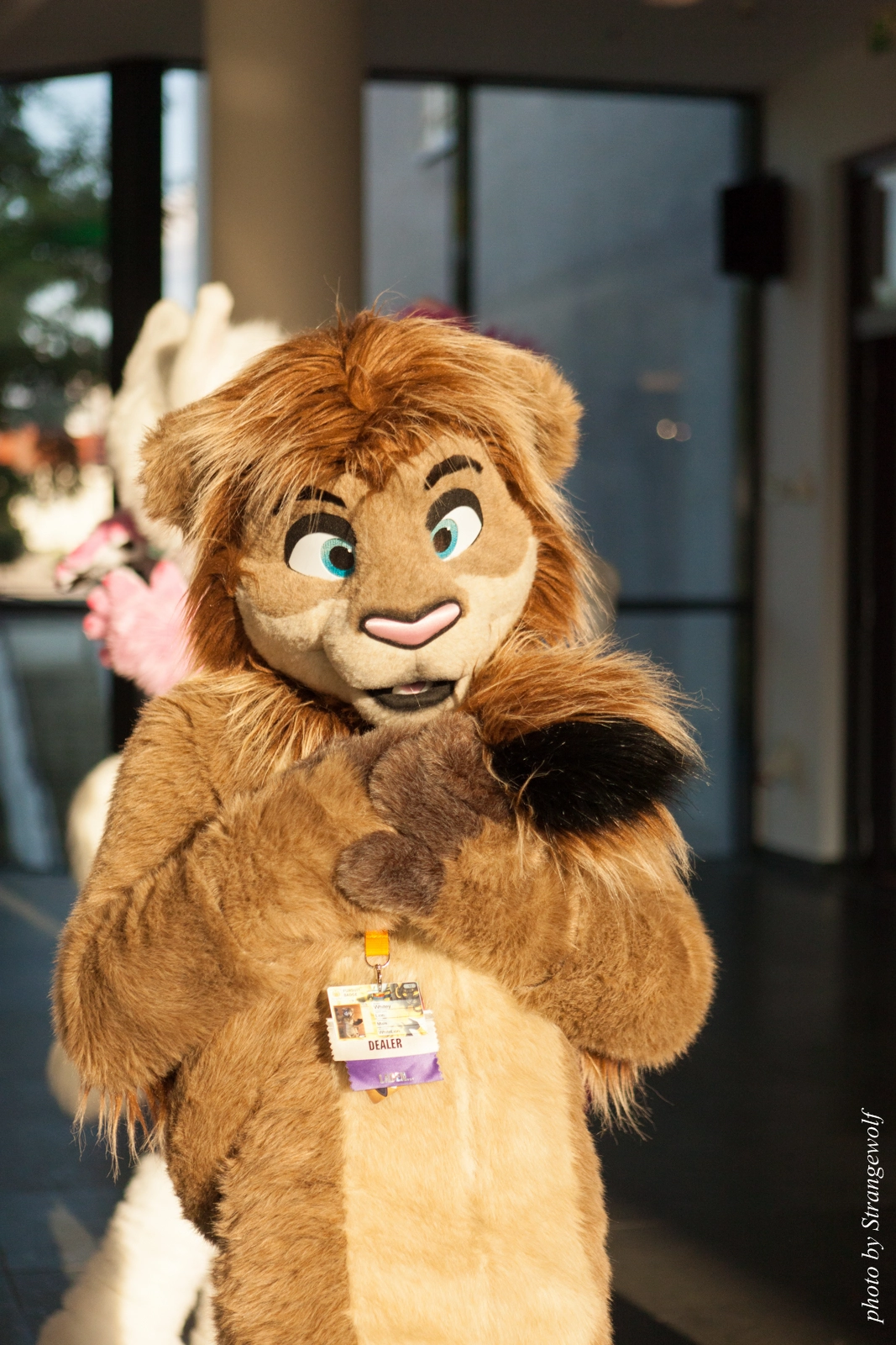 full image IMG_7292-lr16t.jpg