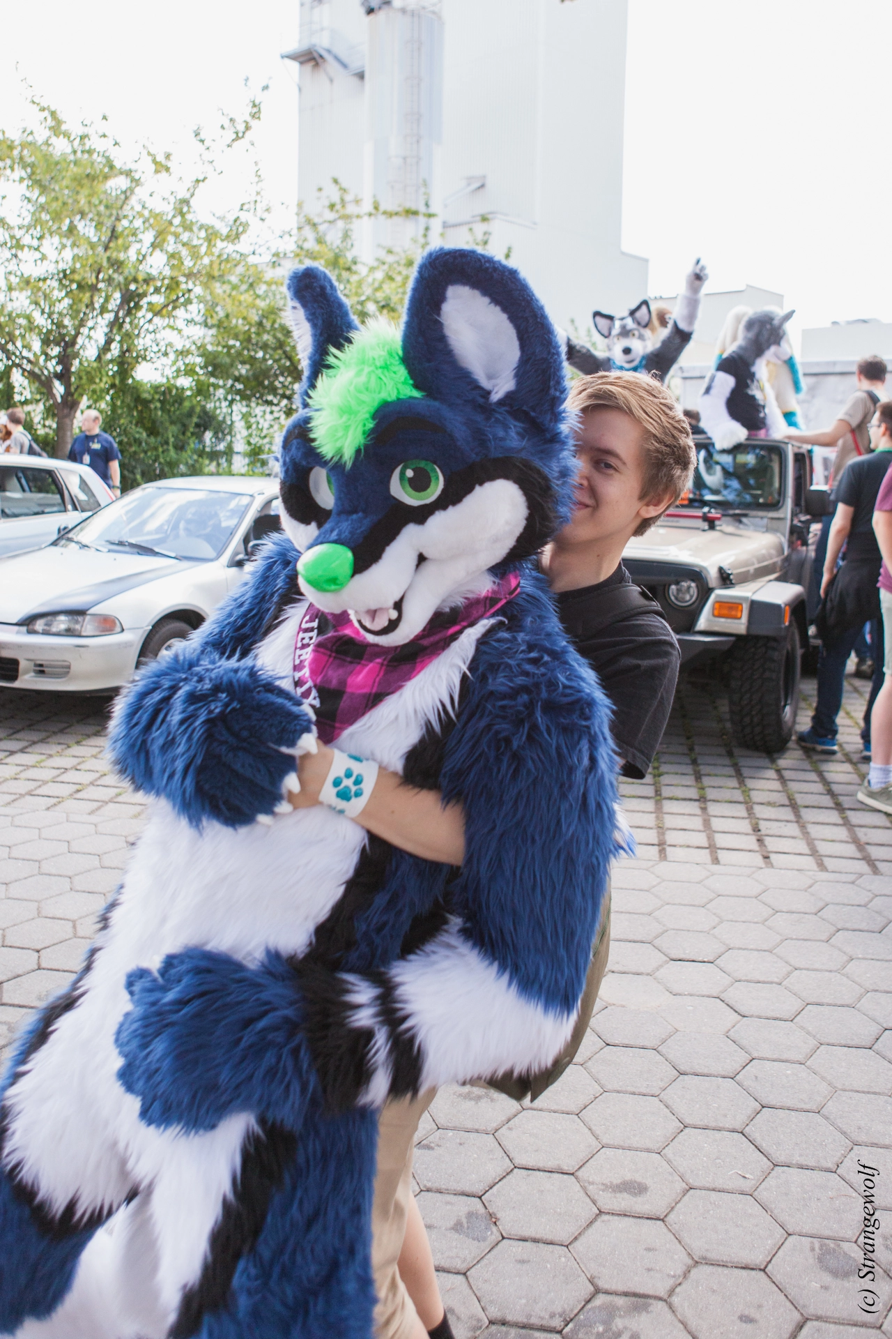 full image IMG_6897-lr19t.jpg