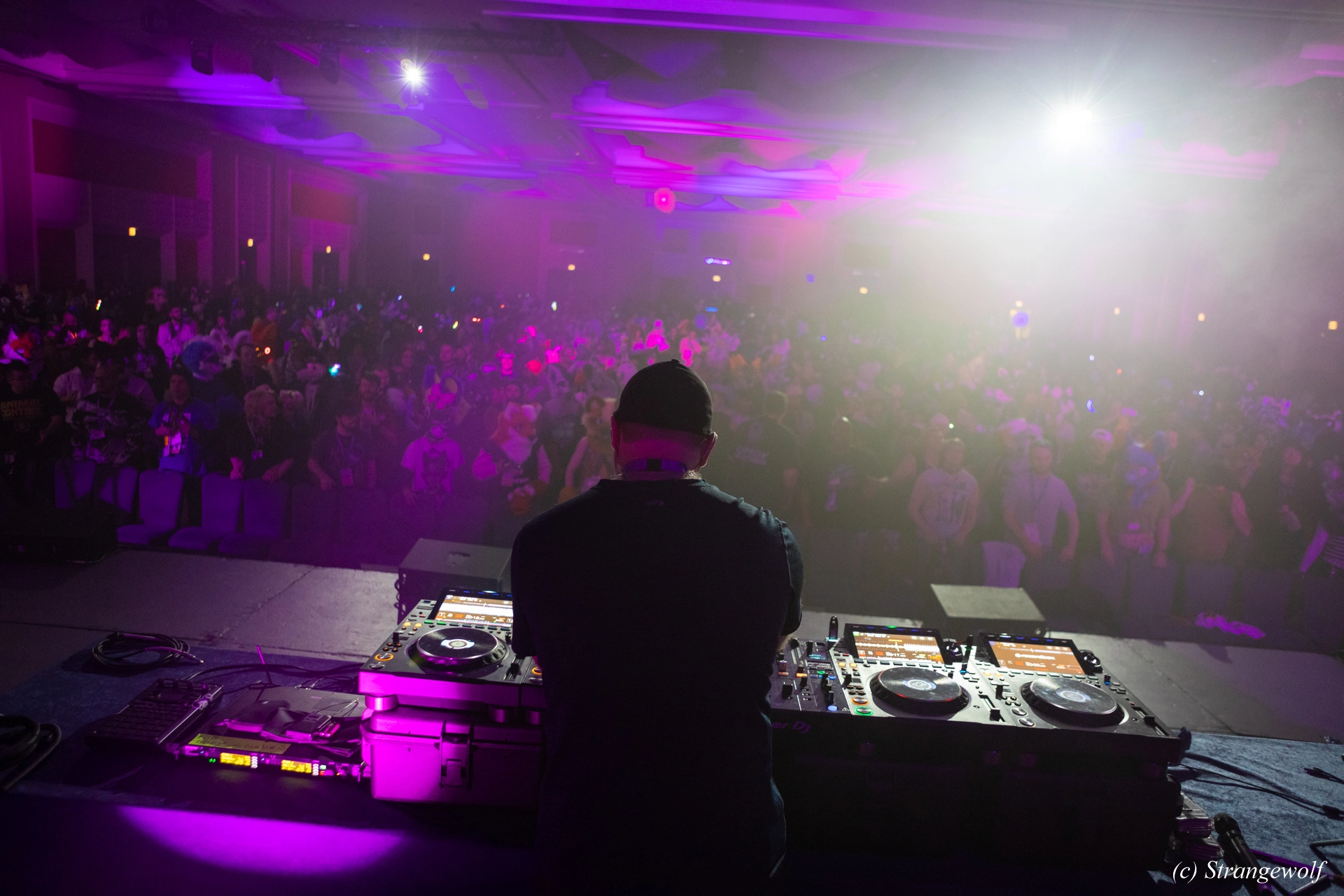 full image 1R3A0831-lr19t.jpg