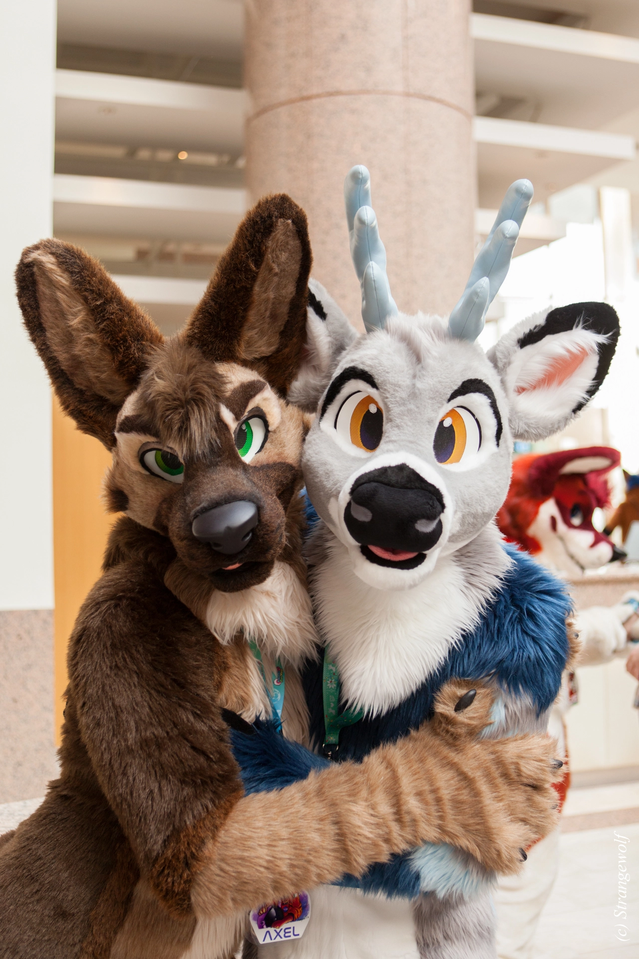 full image IMG_8729-lr19t.jpg