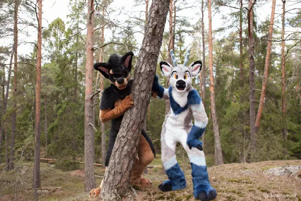 IMG_8647-lr19t.jpg of NFC/NFC2019/Shoot-Strife_Carlito/