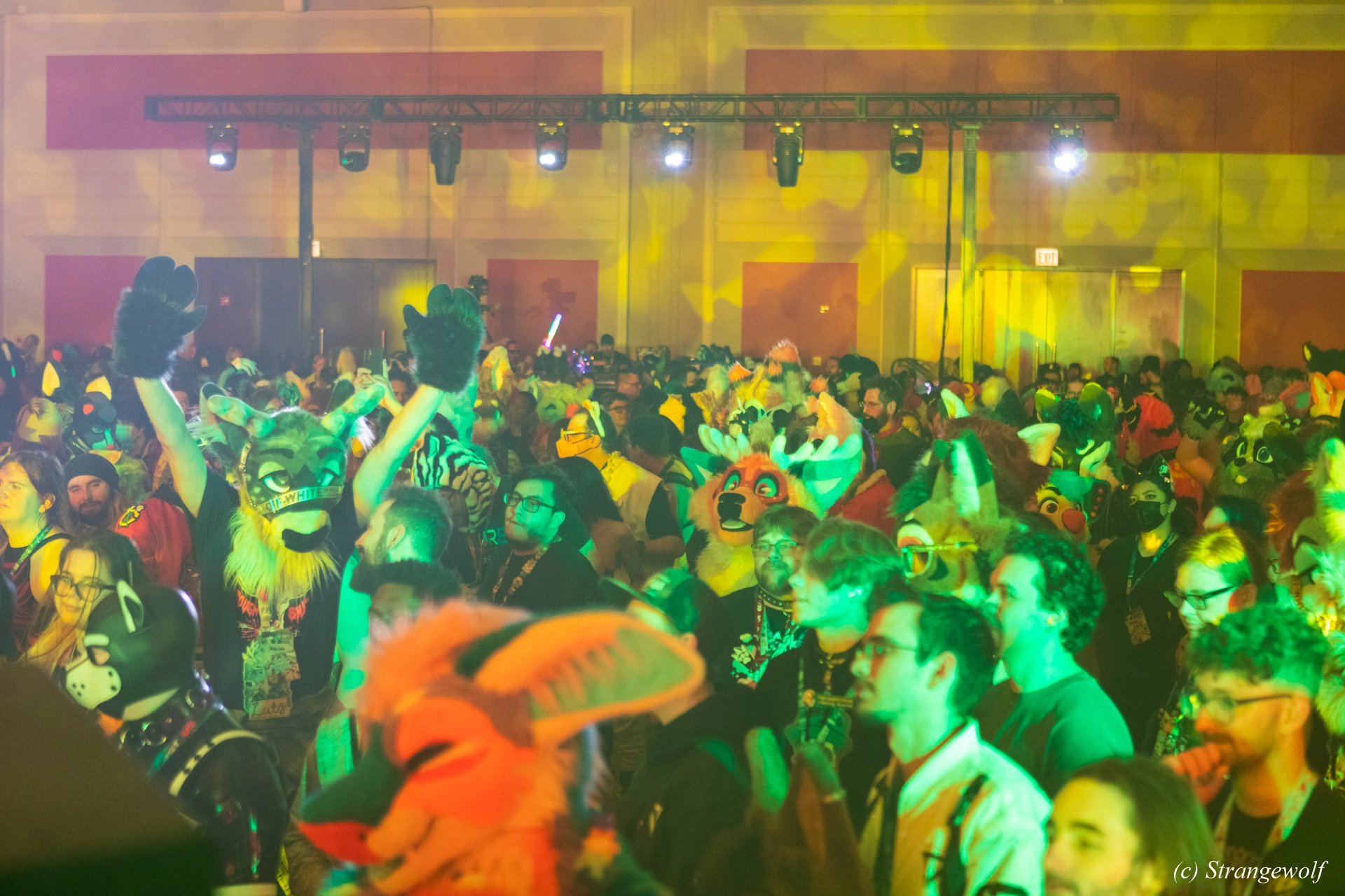 full image 1R3A4848-lr19t.jpg