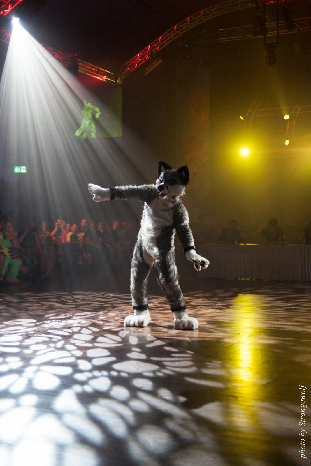 full image IMG_9276-lr16t.jpg