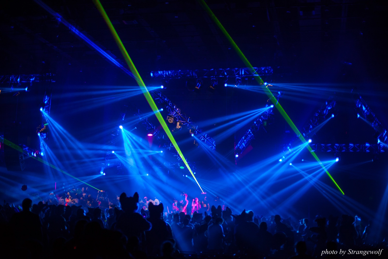 full image IMG_4767-lr16t.jpg