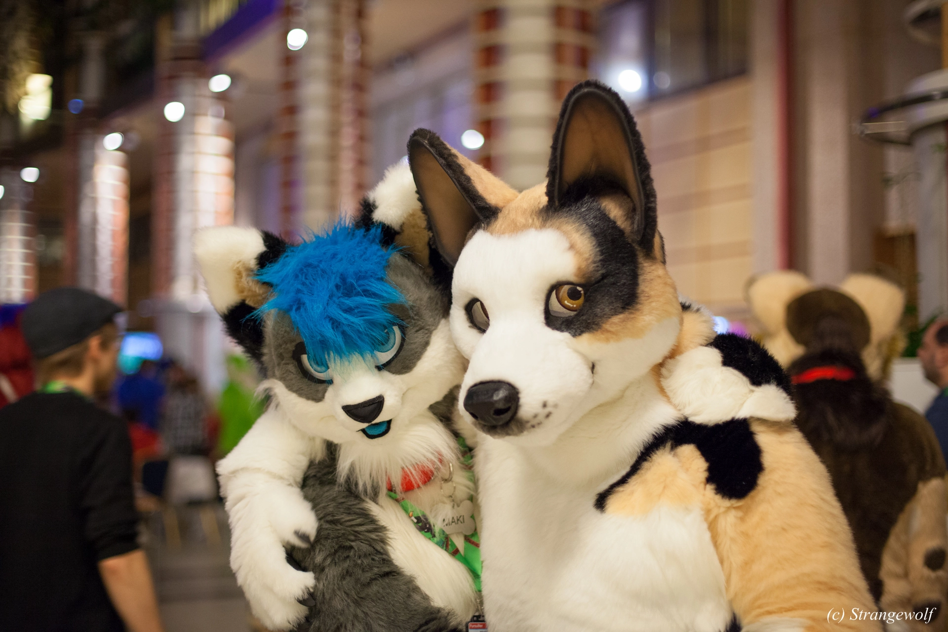 full image IMG_0878-lr19t.jpg