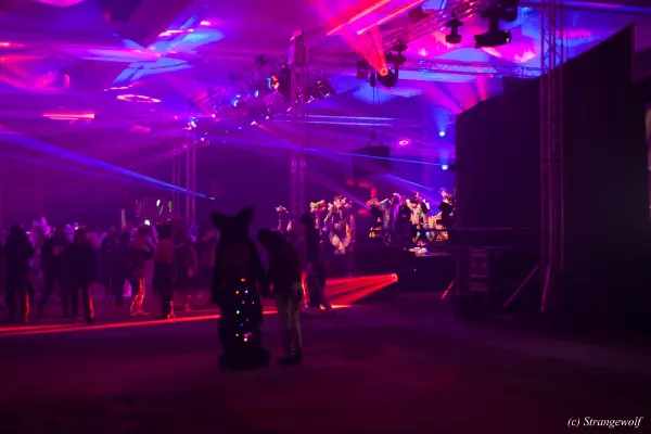 IMG_8038-lr19t.jpg of MFF/MFF2019/