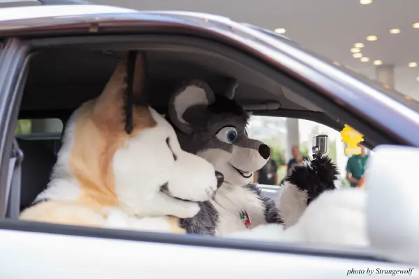 IMG_6820-lr19t.jpg of EF/EF23/MotorFurs/