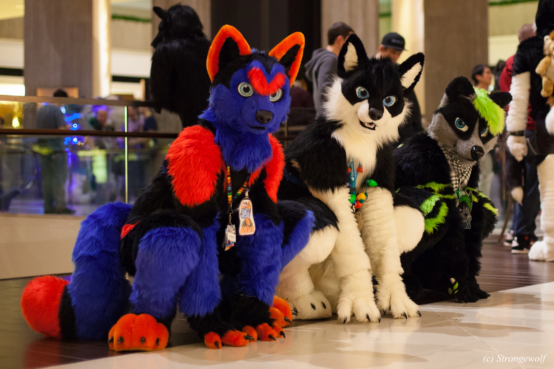 full image IMG_6570-lr19t.jpg