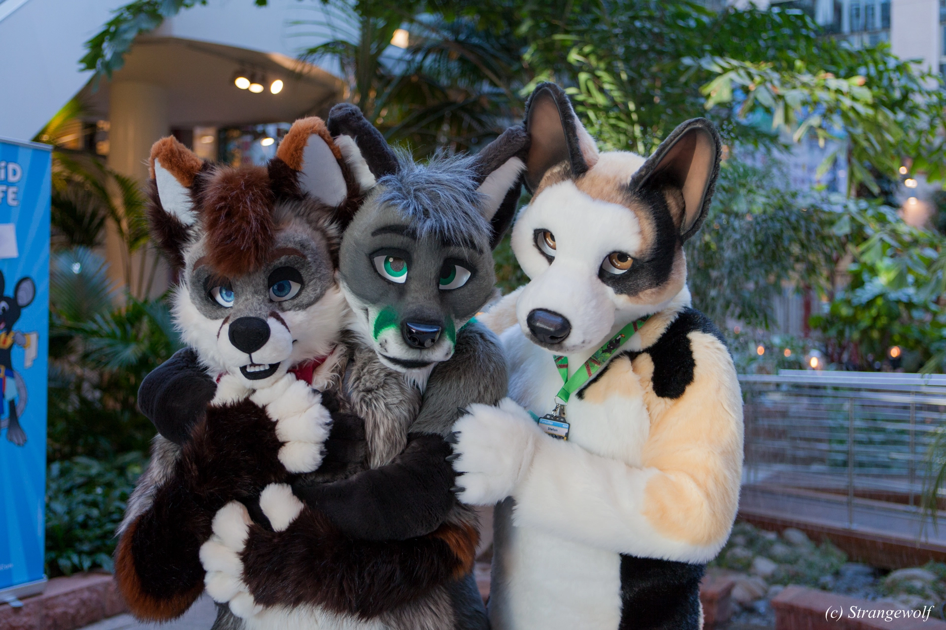 full image IMG_0197-lr19t.jpg