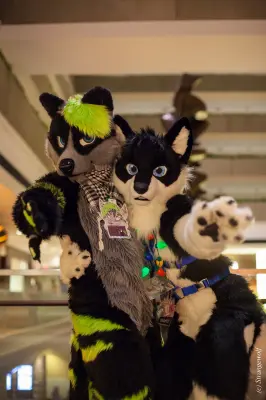 IMG_6557-lr19t.jpg of MFF/MFF2015/