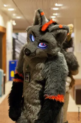 IMG_9119-lr19t.jpg of NFC/NFC2019/