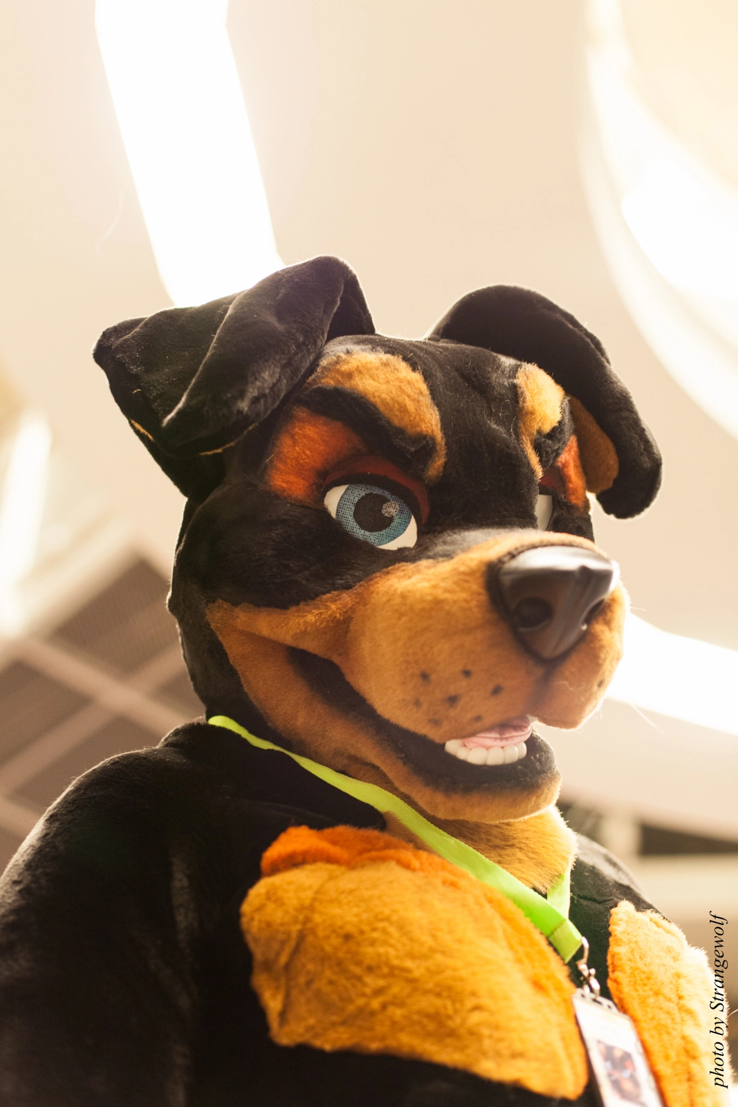 full image IMG_1962-lr16t.jpg