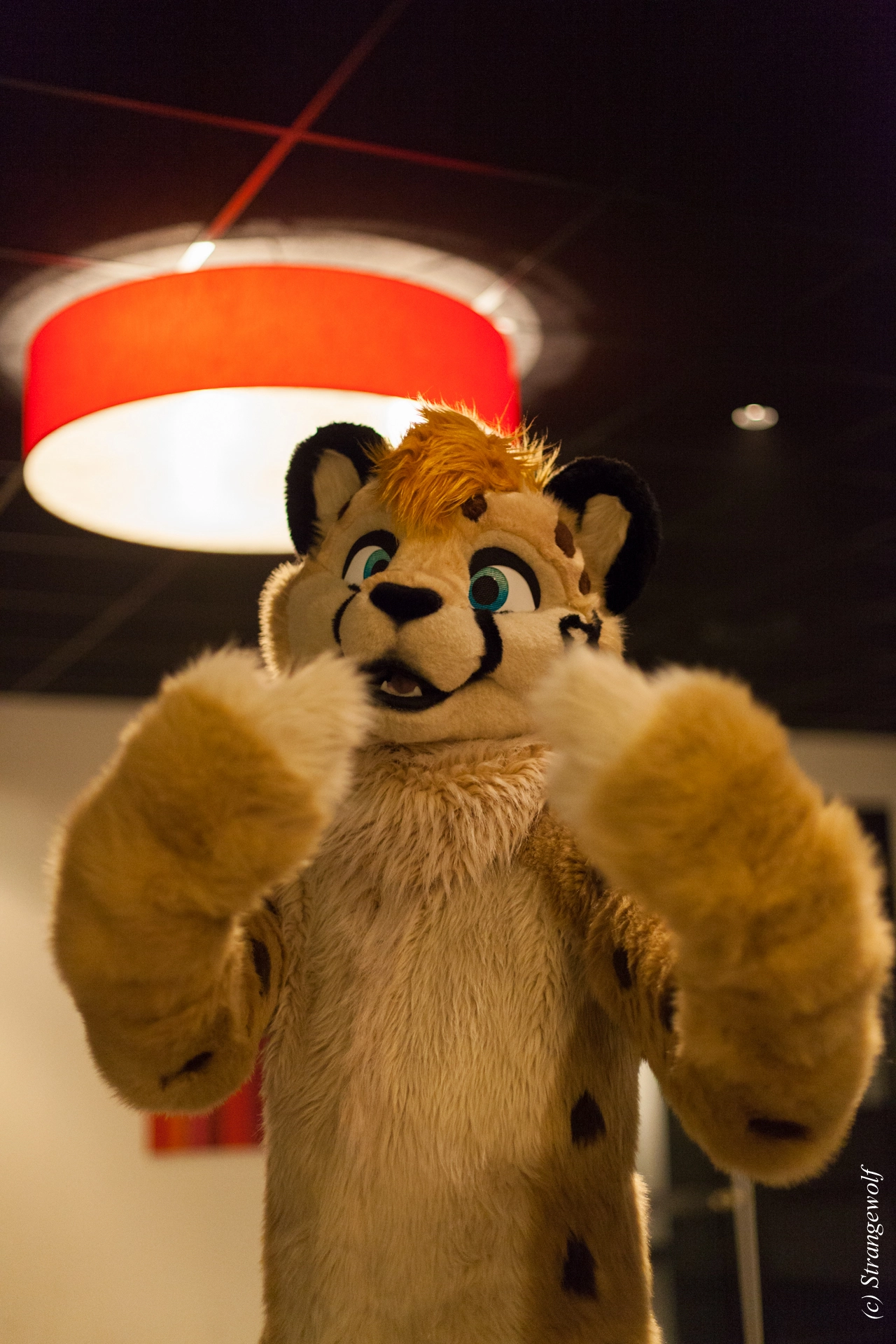 full image IMG_6367-lr19t.jpg