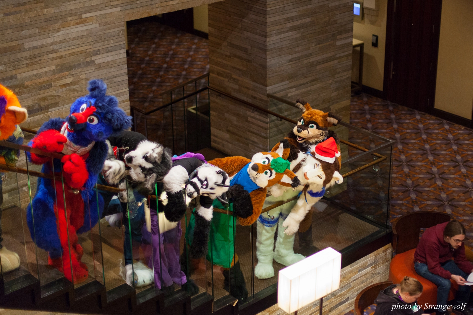 full image IMG_0922-lr16t.jpg