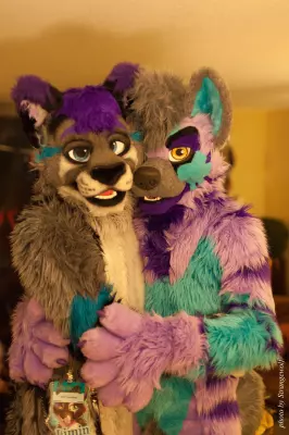 Next album: MFF2017