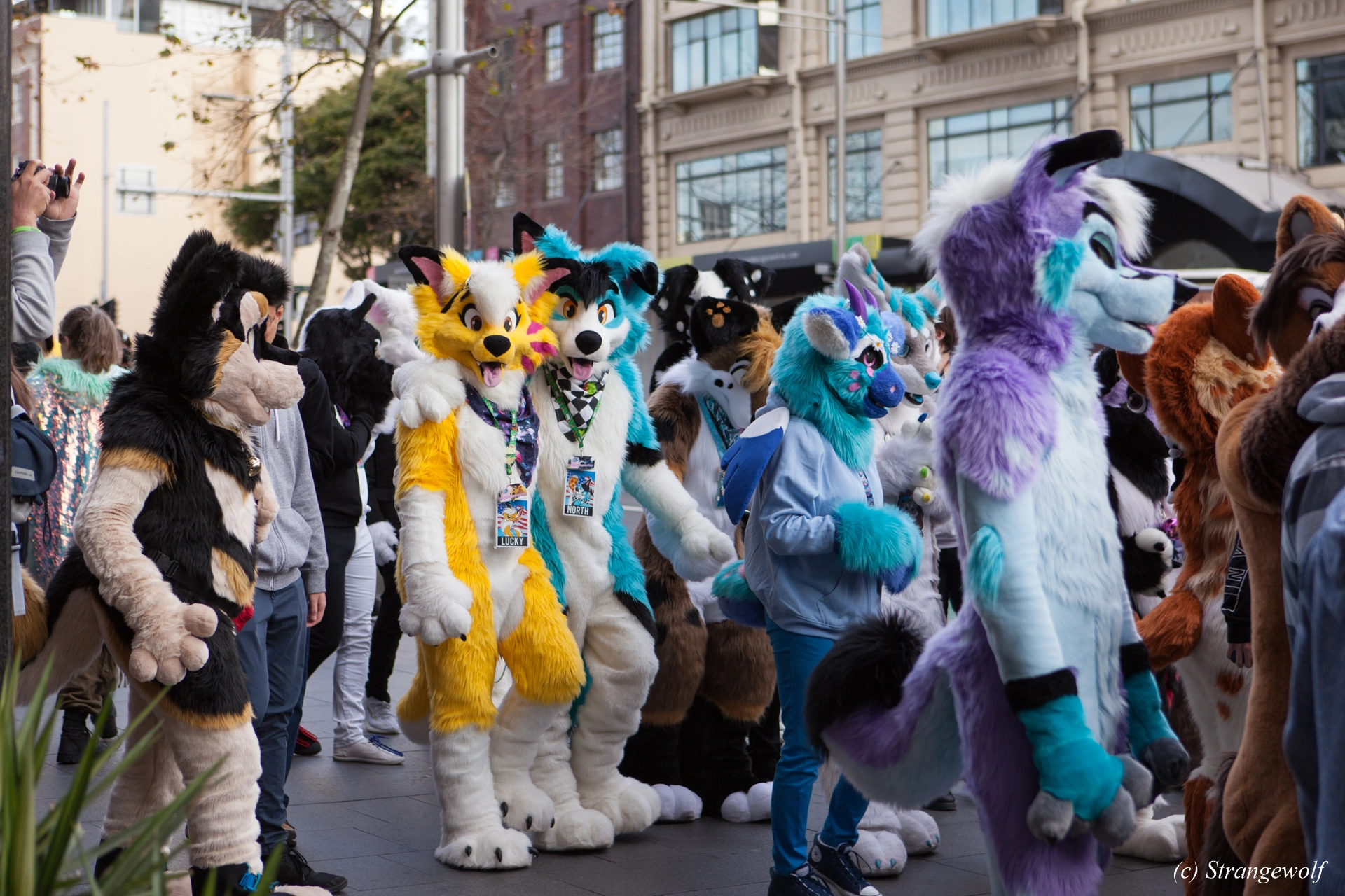 full image IMG_4587-lr19t.jpg