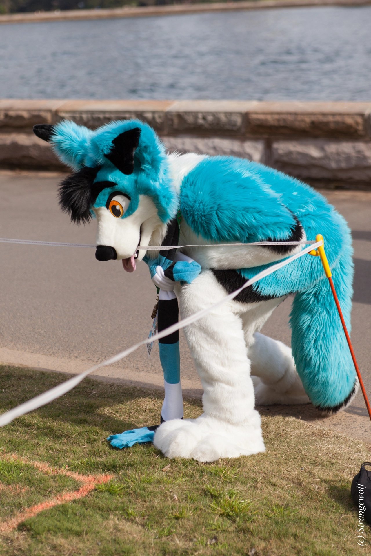 full image IMG_4346-lr19t.jpg