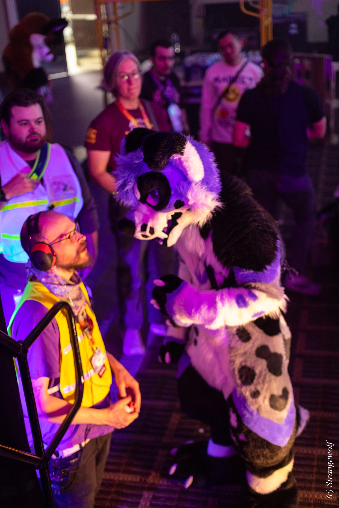 full image 1R3A0707-lr19t.jpg