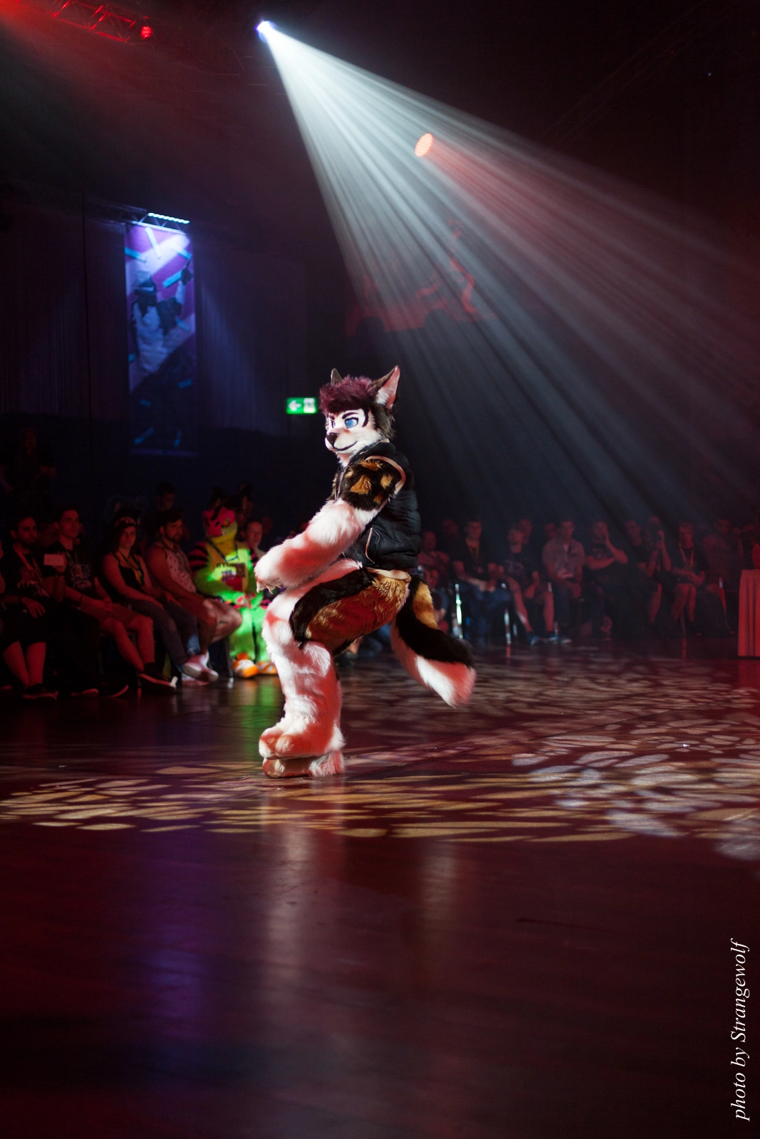 full image IMG_9419-lr16t.jpg