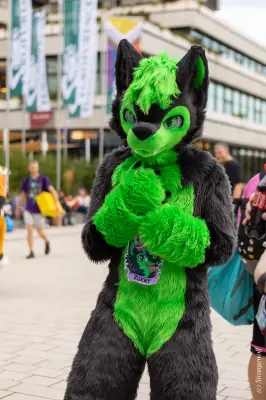 1R3A9086-lr19t.jpg of EF/EF29/