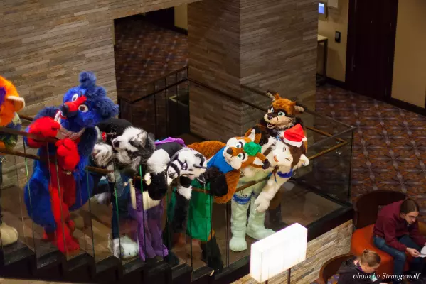 IMG_0922-lr16t.jpg of MFF/MFF2016/