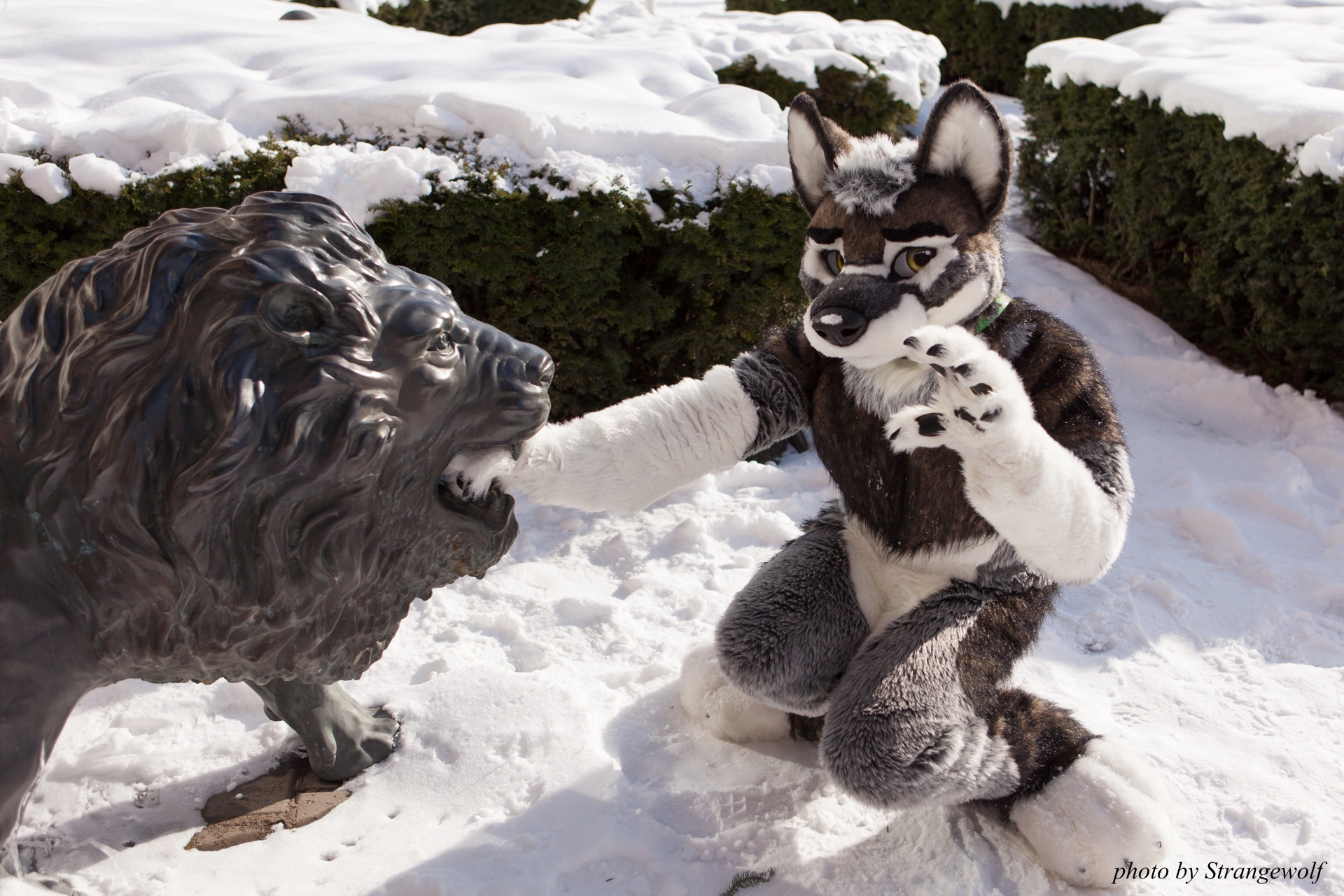 full image IMG_9595-lr19t.jpg