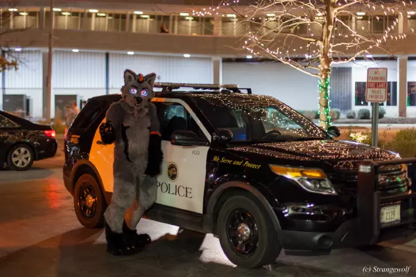 IMG_8036-lr19t.jpg of MFF/MFF2017/