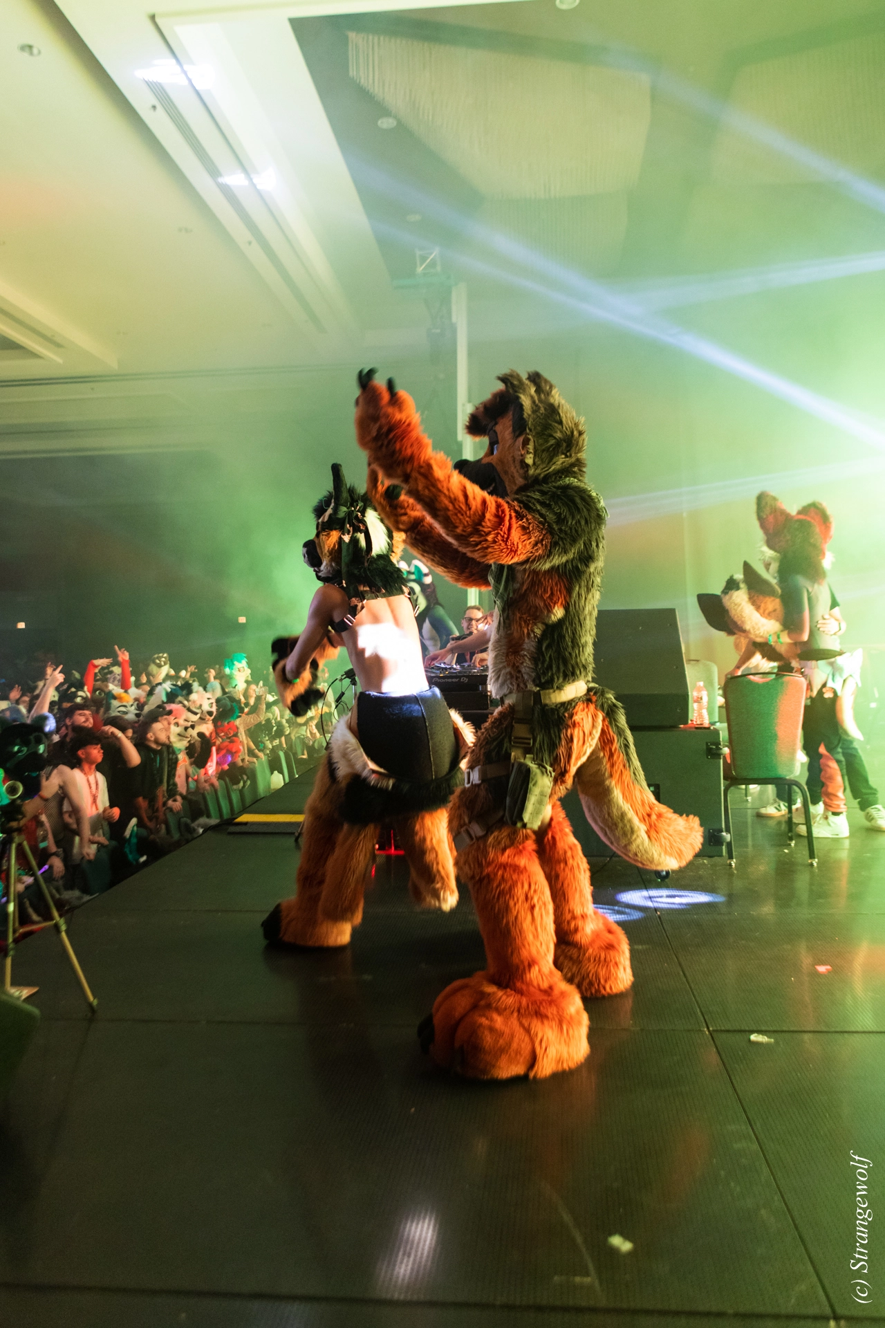 full image 1R3A6854-lr19t.jpg