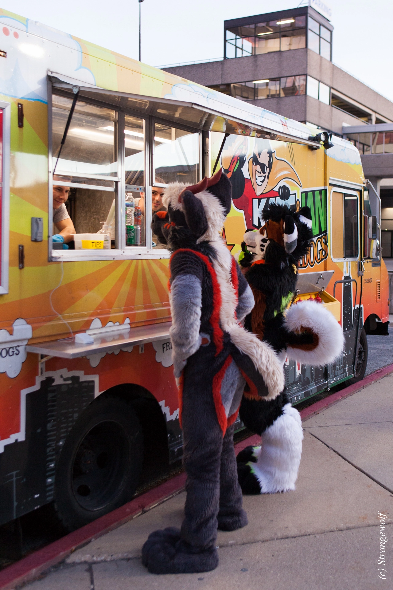 full image IMG_1050-lr19t.jpg