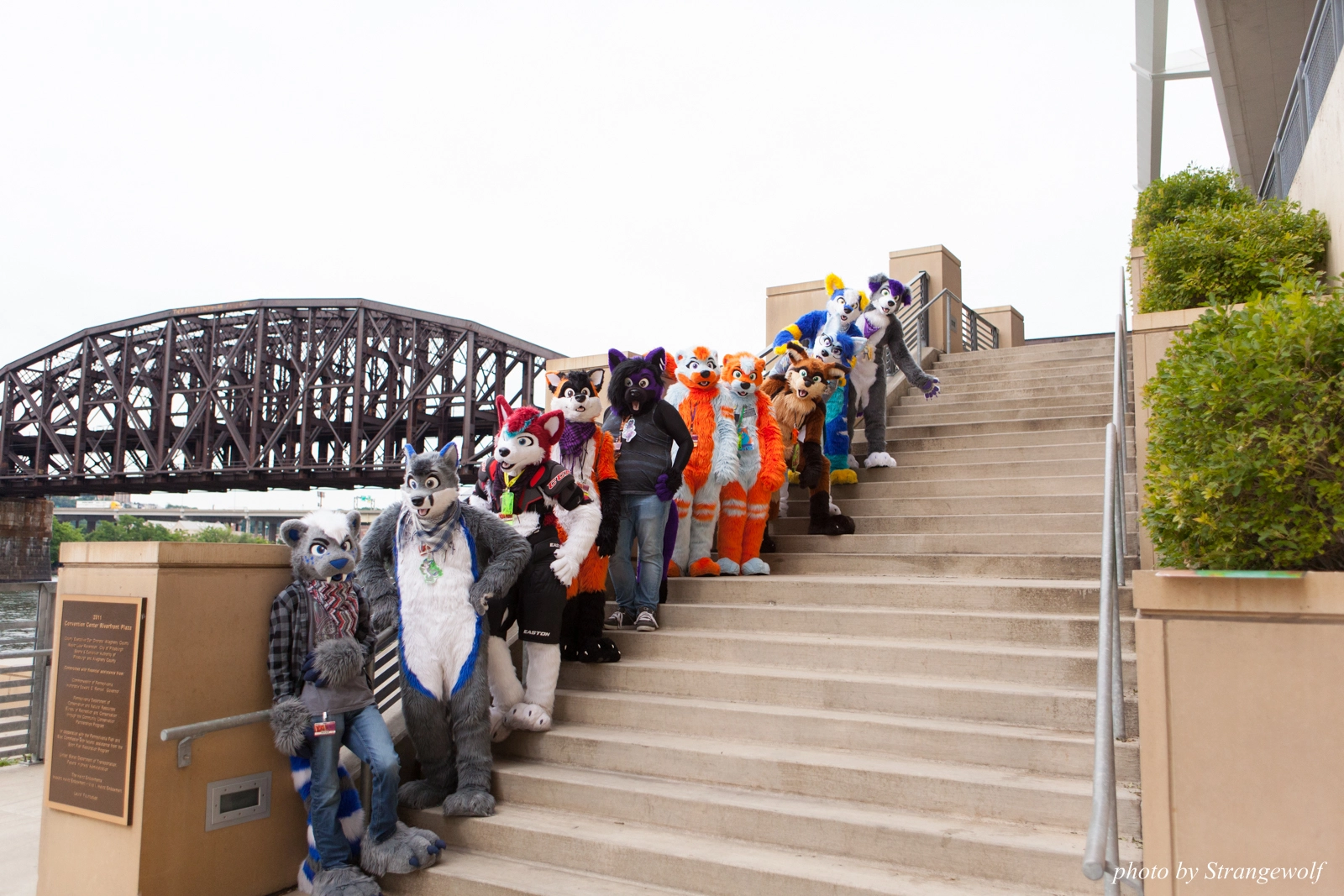 full image IMG_8287-lr16t.jpg