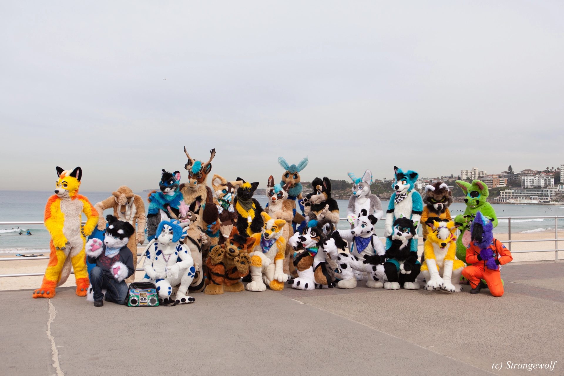 full image IMG_4414-lr19t.jpg