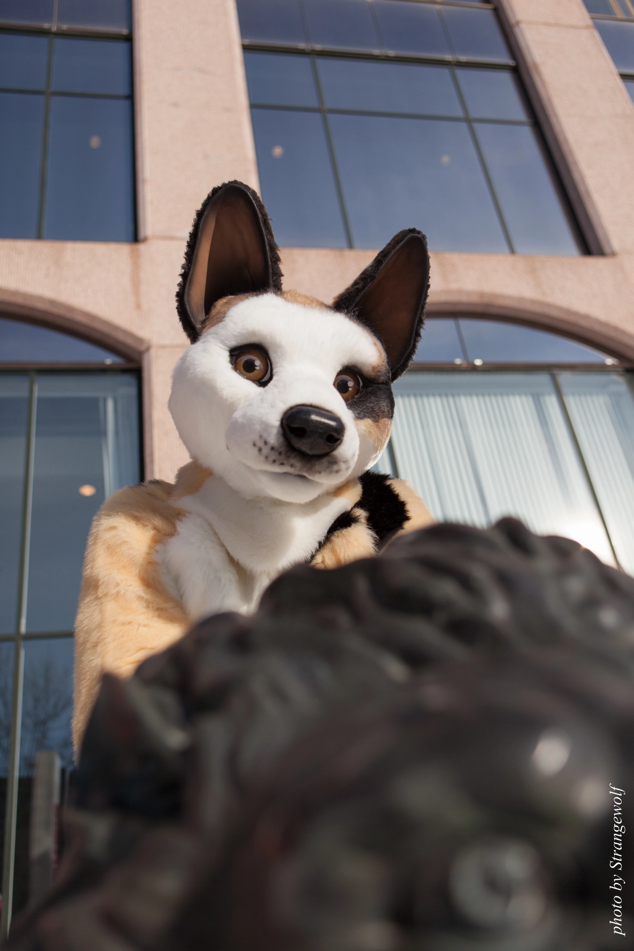 full image IMG_9575-lr19t.jpg