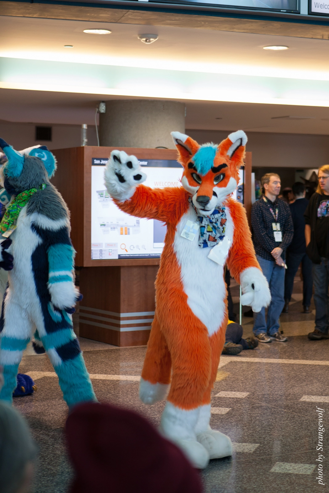 full image IMG_1044-lr16t.jpg