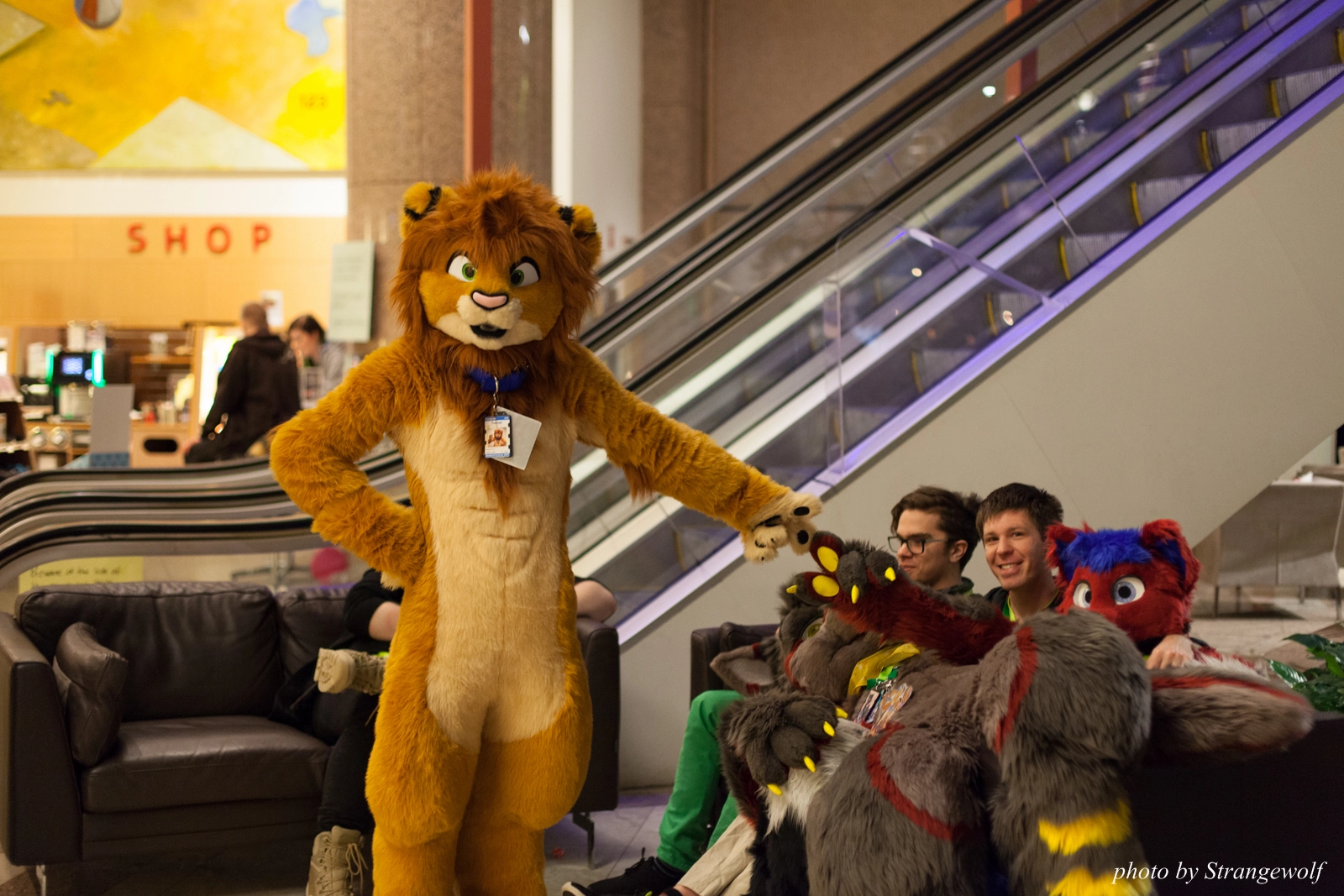 full image IMG_1588-lr16t.jpg