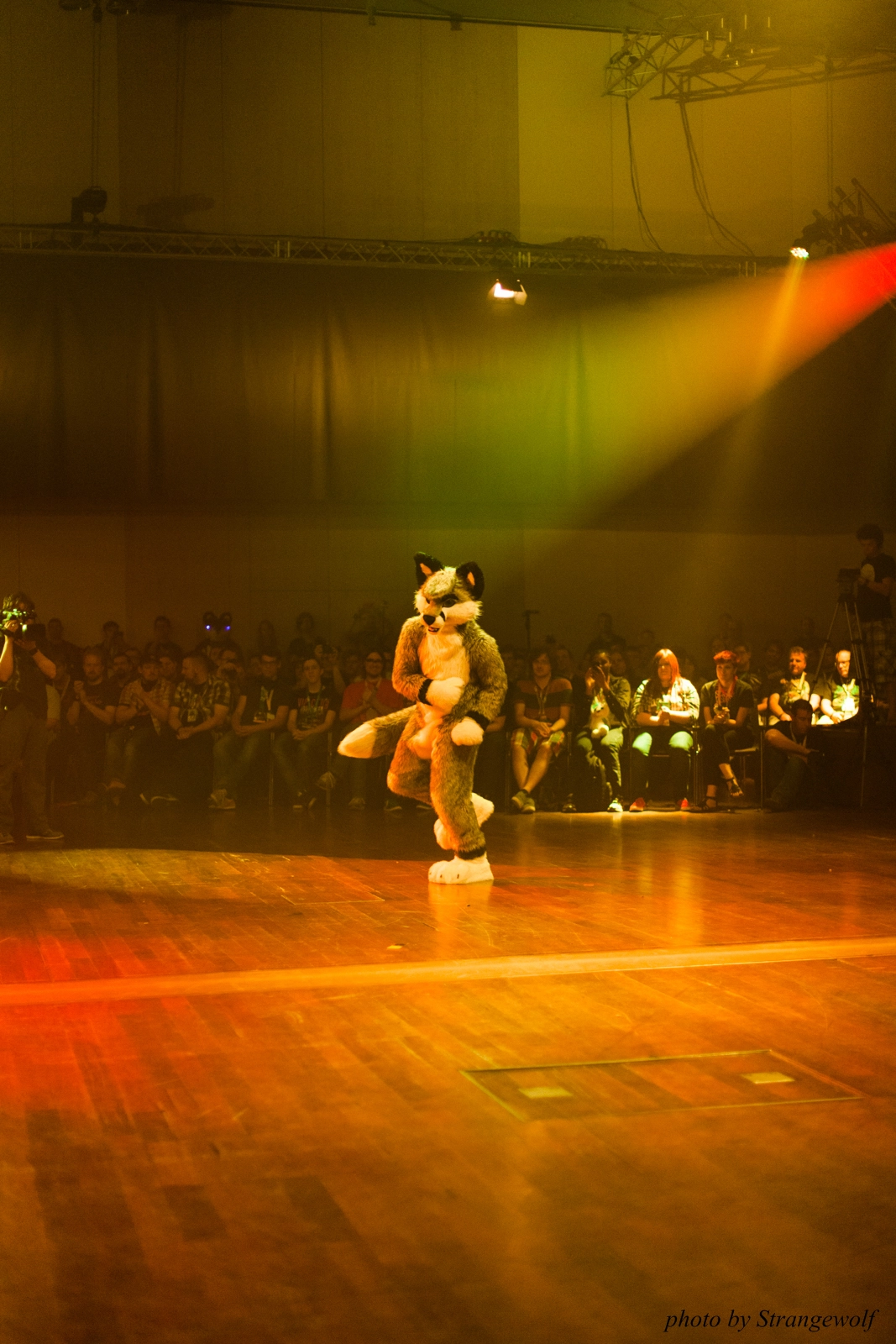full image IMG_2903-lr16t.jpg
