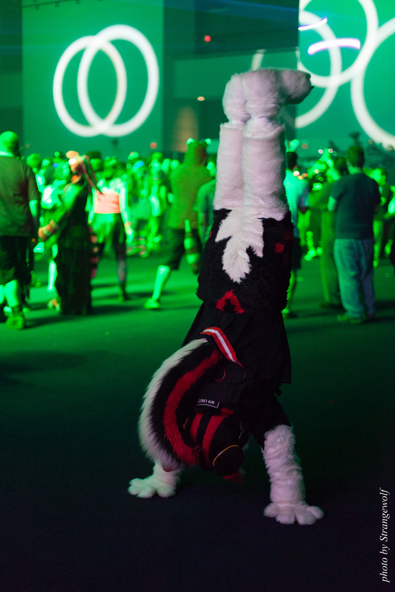 full image IMG_0612-lr19t.jpg